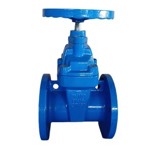DIN F4 Gate Valve