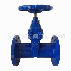 DIN F5 Gate Valve