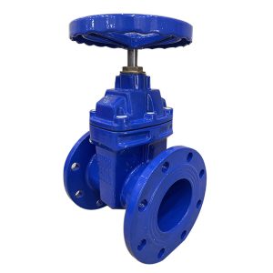 BS5163 Gate Valve (British Standard)